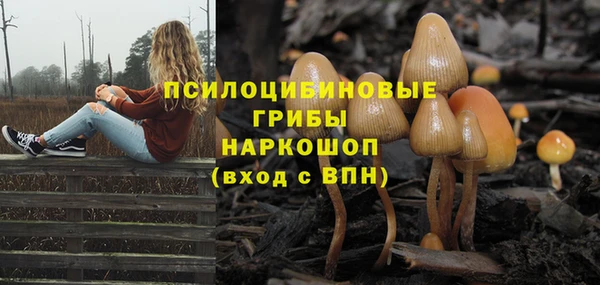 прущие крисы Аркадак